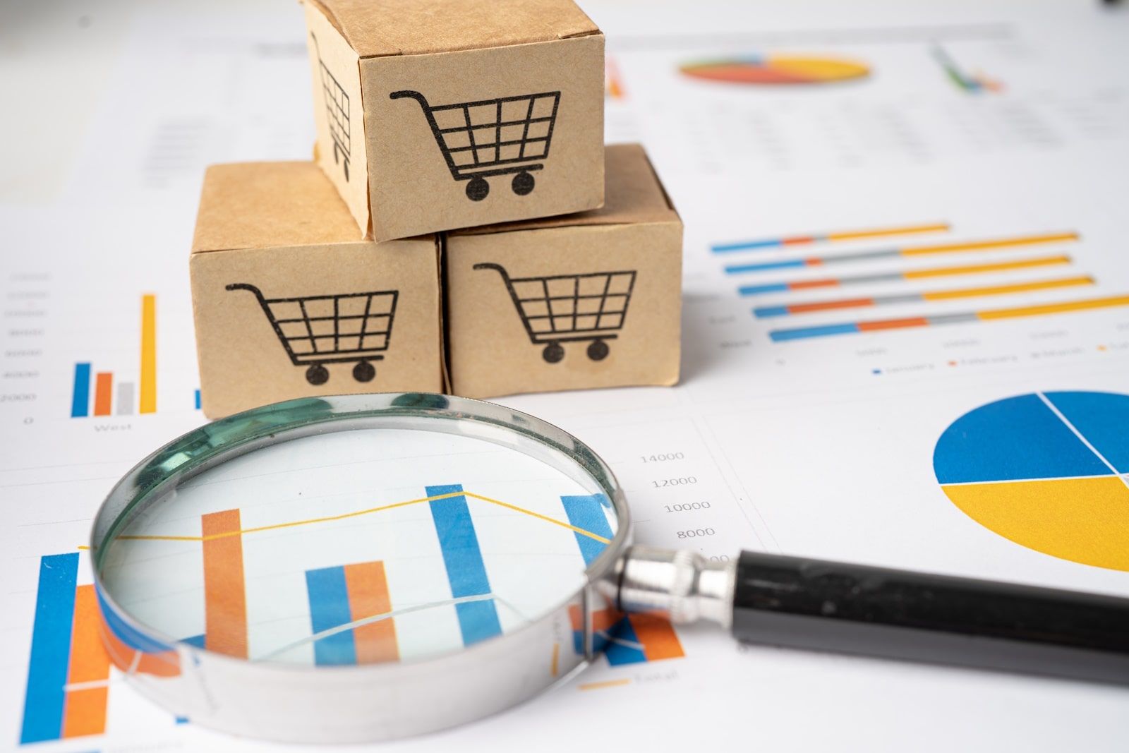 seo in south africa