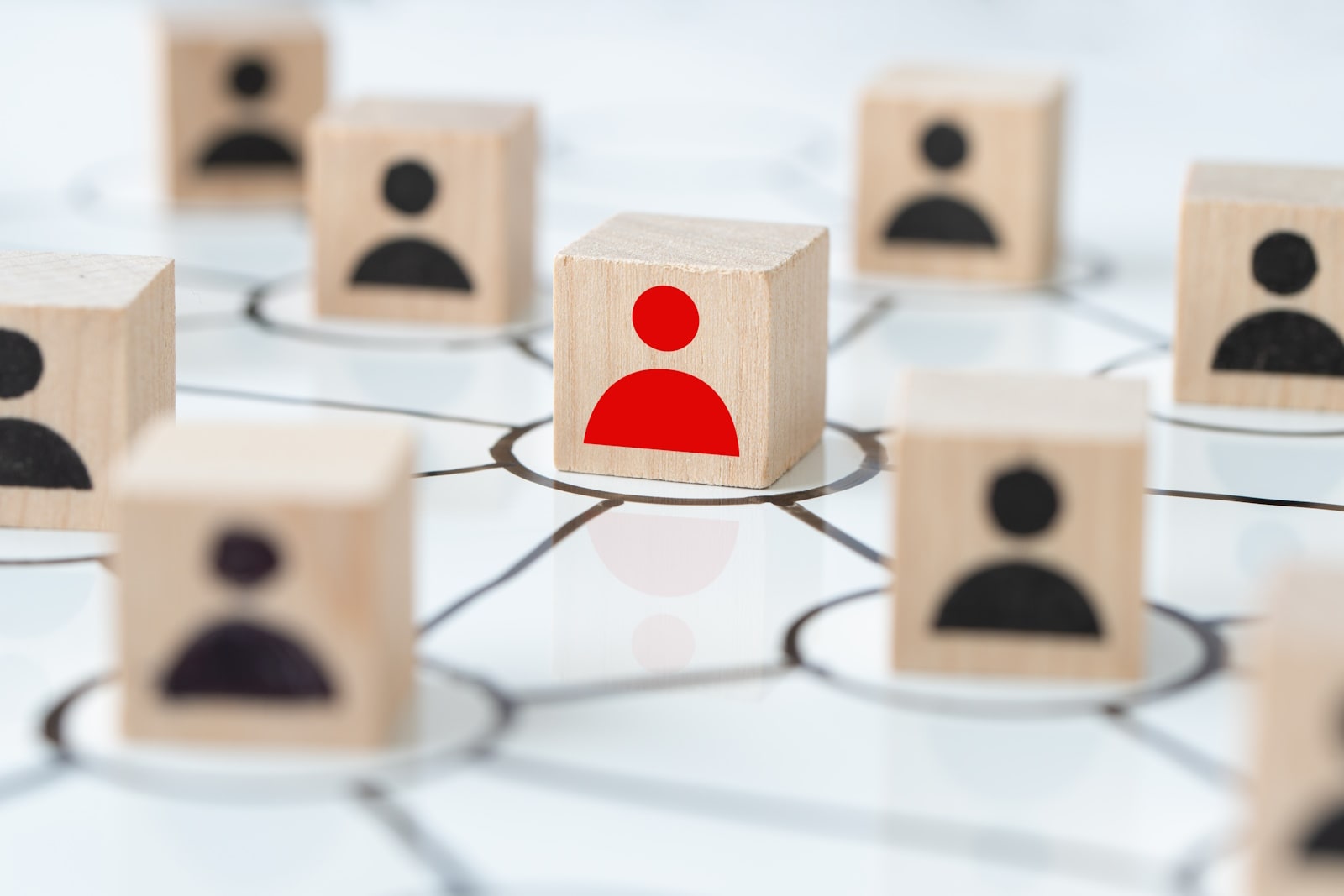 cape town seo companies