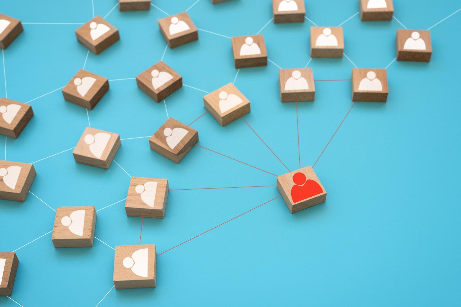 search engine optimisation companies