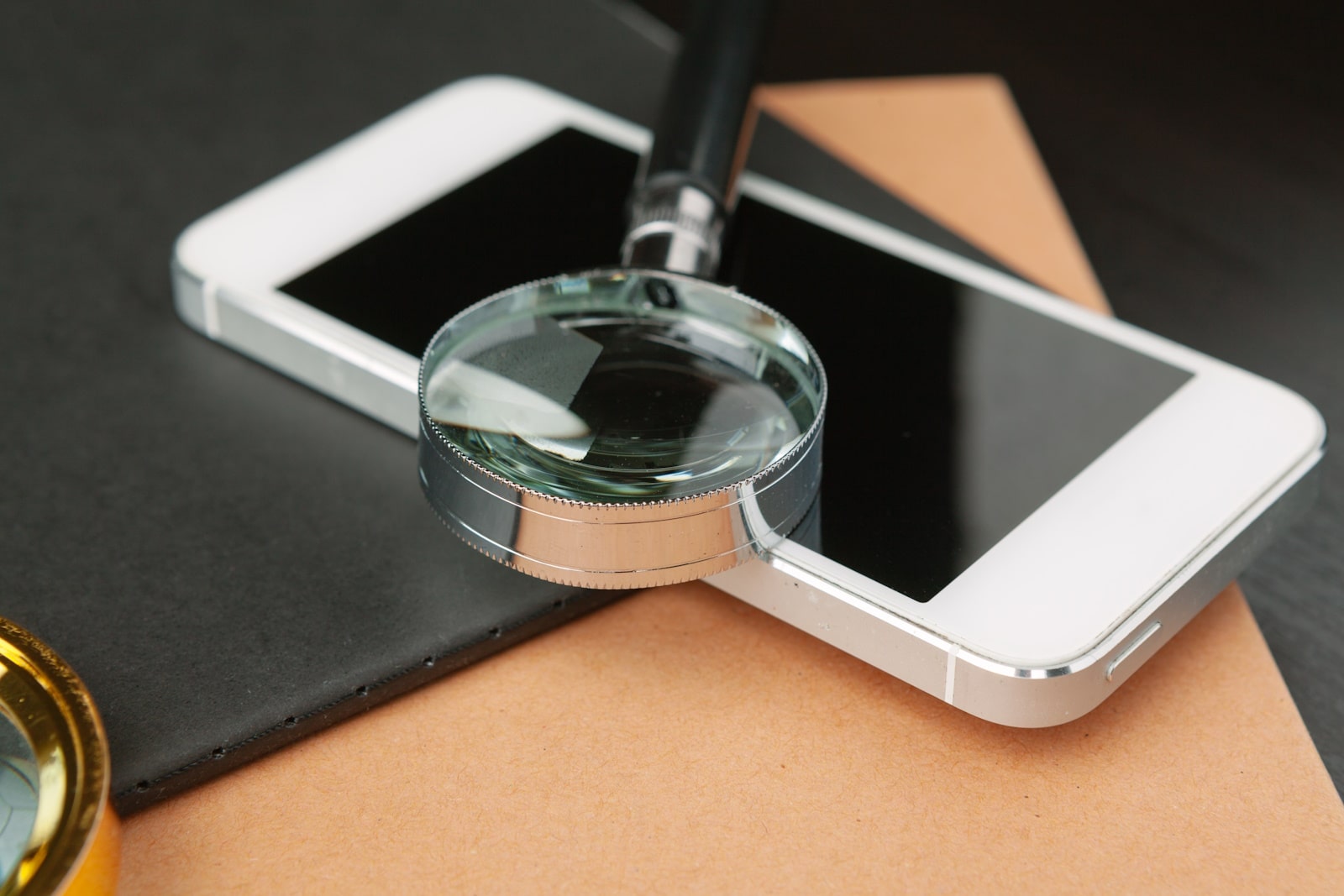 search engine optimization in south africa